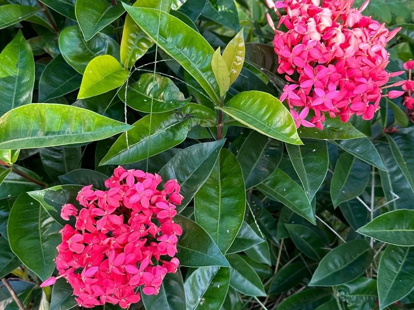 בית נופש הוילה פורטו סגורו Casa Em Porto - Casa Beija Flor